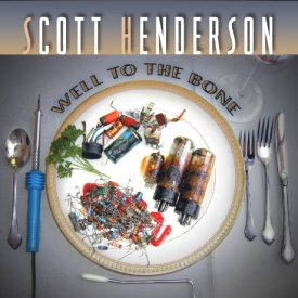 Well to The Bone by Scott Henderson